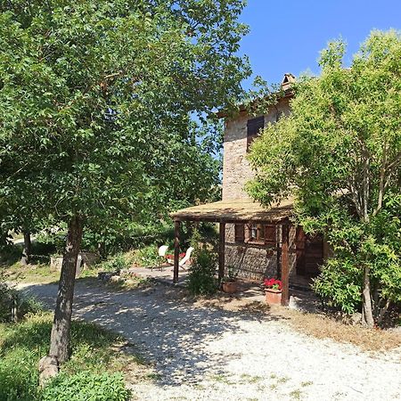 Agriturismo Casa Greppo San Venanzo Exterior foto