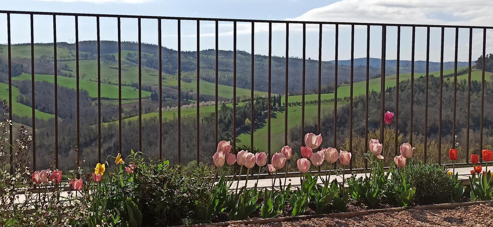Agriturismo Casa Greppo San Venanzo Exterior foto